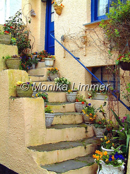24_Treppe Blumen_111.jpg